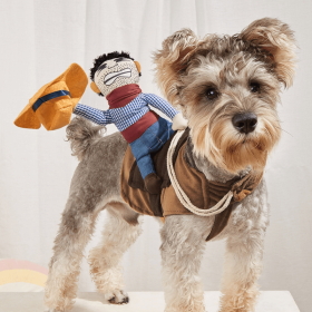 Cowboy Rider Pet Costume, Funny Dog Costume For Small Medium Dogs & Cats, Pet Clothes - Mixed Color - XL