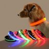 Glow-In-The-Dark Pet Collar For Dog & Cat; LED Dog Collar For Night Walking; USB charging - Orange - S