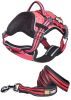 Helios Dog Chest Compression Pet Harness and Leash Combo - Large - (HA6PKLG)