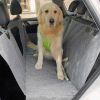 Waterproof Pet Dog Car Back Seat Cover with Storage Bag - Grey - Pet Supplies