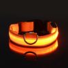 Glow-In-The-Dark Pet Collar For Dog & Cat; LED Dog Collar For Night Walking; USB charging - Orange - S