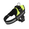 No Pull Pet Harness For Dog & Cat; Adjustable Soft Padded Large Dog Harness With Easy Control Handle - Blue - XXL