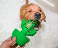 Cactus Shape Dog Toothbrush Stick Puppy Dental Care Brushing Stick Effective Doggy Teeth Cleaning Massager Natural Rubber Bite Resistant Chew Toys - G