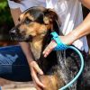 Portable Dog Shower Easy Install Pet Supplies Water Spray Cat Dog Bath Brus Use Plastic Family Pet Cleaning Grooming Accessories - Blue