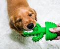 Cactus Shape Dog Toothbrush Stick Puppy Dental Care Brushing Stick Effective Doggy Teeth Cleaning Massager Natural Rubber Bite Resistant Chew Toys - G