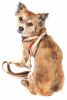 Pet Life Luxe 'Dapperbone' 2-In-1 Mesh Reversed Adjustable Dog Harness-Leash W/ Fashion Bowtie - X-Small