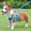 Reflective Pet Harness And Leash Set For Dog & Cat; No Pull Dog Vest Harness With Breathable Mesh - Sky Blue - M