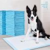 Pet Training 1 Bag Pads Super Absorbent Pet Diaper Disposable Healthy Nappy Mat Pet Dog Leak-proof Pee Pads with Quick-dry Surface - Blue - 20pcs 60x9