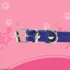 Pet Supplies Dog Collar Alloy Buckle Dog Chain Cat Necklace Size Adjustable for Small and Medium-sized Dog Collars Dog Supplies - yellow - 30cm