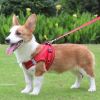 Reflective Pet Harness And Leash Set For Dog & Cat; No Pull Dog Vest Harness With Breathable Mesh - Red - XS