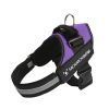 No Pull Pet Harness For Dog & Cat; Adjustable Soft Padded Large Dog Harness With Easy Control Handle - Purple - XXL